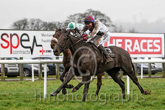 02nd - Lots of Memories & Mr M Fahey - 2nd (5, white, emerald green stars) & Ceasar Milan & Mr W Thompson - winner (9, white, royal blue panel) -FT8E9924-e2