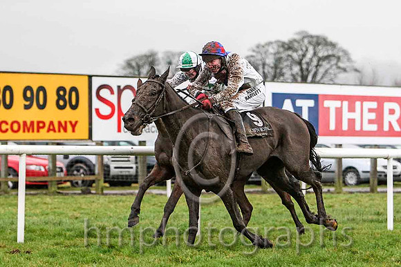 01st - Ceasar Milan & Mr W Thompson - winner (9, white, royal blue panel) & Lots of Memories & Mr M Fahey - 2nd (5, white, emerald green stars) -FT8E9925-e2