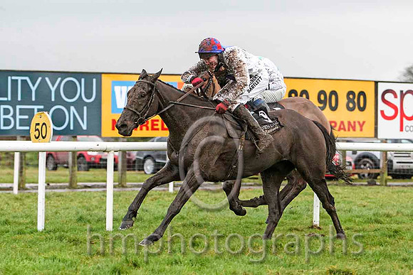 01st - Ceasar Milan & Mr W Thompson - winner (9, white, royal blue panel) & Lots of Memories & Mr M Fahey - 2nd (5, white, emerald green stars) -FT8E9928-e2