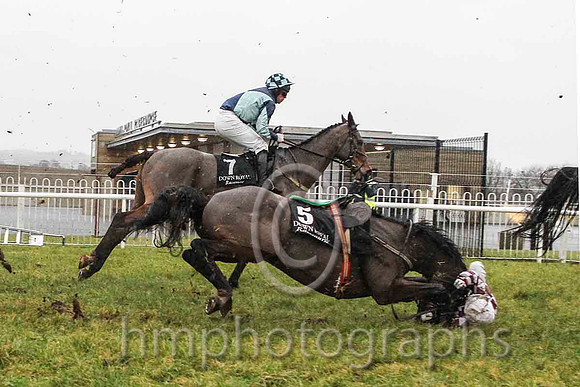 04th & Nivek's Dream and M A (Mark) Enright - Fell (5, maroon and white diamonds) - CU2D5383-e2