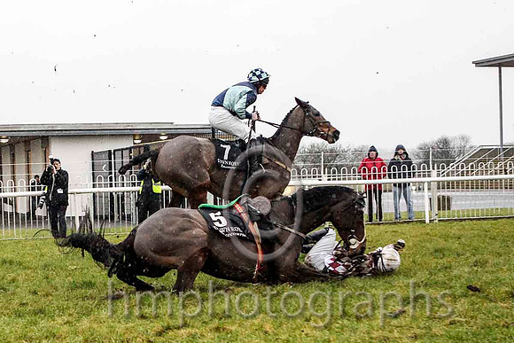 04th Wild Salmon & B M Cash - 4th (7, light green and dark blue diablo) & Nivek's Dream and M A (Mark) Enright - Fell (5, maroon and white diamonds) - CU2D5385-e2