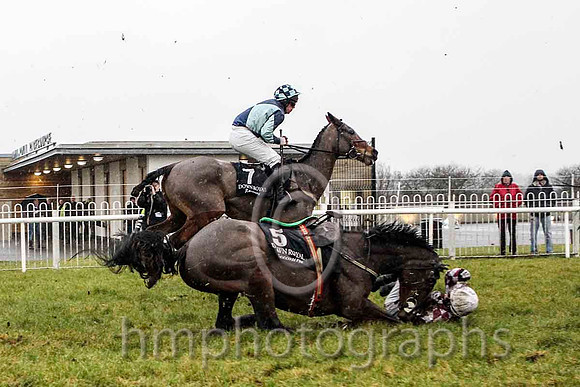04th Wild Salmon & B M Cash - 4th (7, light green and dark blue diablo) & Nivek's Dream and M A (Mark) Enright - Fell (5, maroon and white diamonds) - CU2D5384-e2