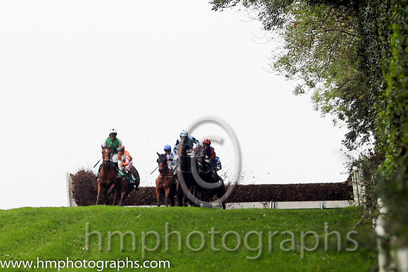06 Icelip and J l Cullen - - 06th (3 ,Light green, white sleeves ) Trainer - D M O'Brien  03 Darwins Theory and G N Fox - - 03rd (1 ,Light blue, dark blue diamond ) Trainer - J Queally