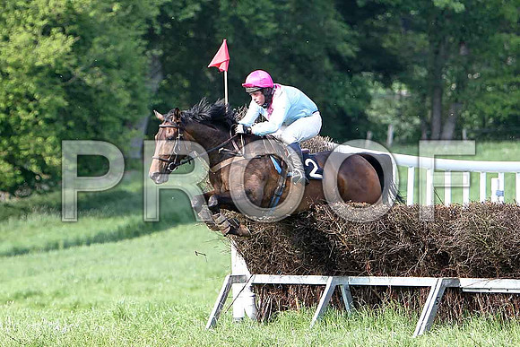 Race 6 Div 2 - Ben a Long TIme (2) 6th, Rider B F Brabazon - CU2D9833-e