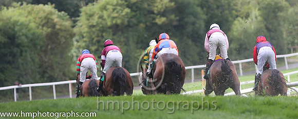 Downpatrick Race Course - Down The Hill - AA1V0842