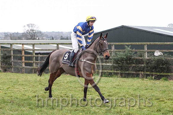 Carsonstown Boy & Mr N McParlan - 8th (5, royal blue, yellow stars) - CU2D5233-e
