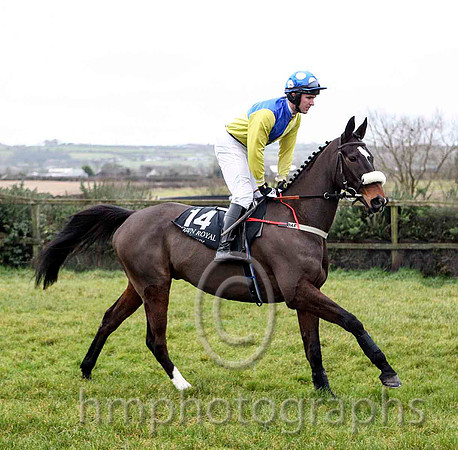 Send For Paddy & Mr D A Fitzsimmons - 5th (14, royal blue and yellow quartered) - CU2D5245-e