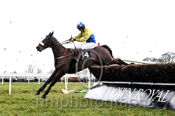 Send For Paddy & Mr D A Fitzsimmons - 5th (14, royal blue and yellow quartered) - CU2D5260-e