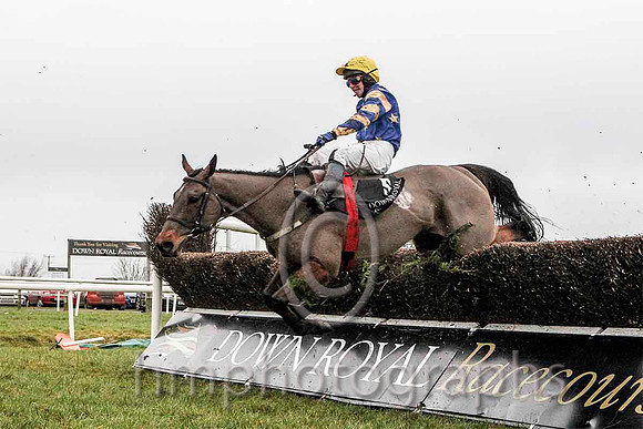 Carsonstown Boy & Mr N McParlan - 8th (5, royal blue, yellow stars) - CU2D5265-e