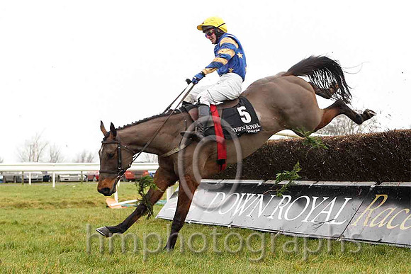Carsonstown Boy & Mr N McParlan - 8th (5, royal blue, yellow stars) - CU2D5266-e