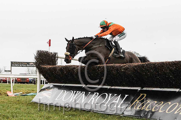 Not Before Eight & Mr B O' Neill - 11th (7, tangerine) - CU2D5271-e
