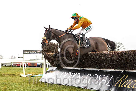 Not Before Eight & Mr B O' Neill - 11th (7, tangerine) - CU2D5272-e