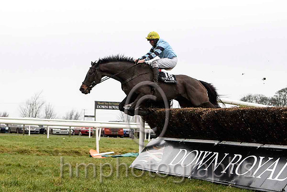 Strongpoint & Mr J A Jenkins - 13th (15, light blue, dark blue hooped sleeves) - CU2D5277-e