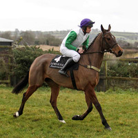 Tammys Hill - winner of Foxhunters at Cheltenham 2014