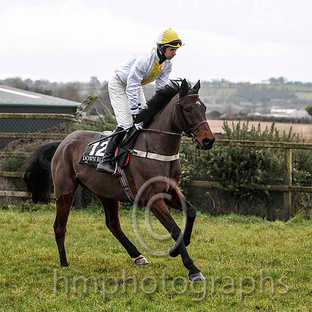 Harps Counsel & Me S F Magee - PU (12, white, yellow panel) - FT8E9705-e