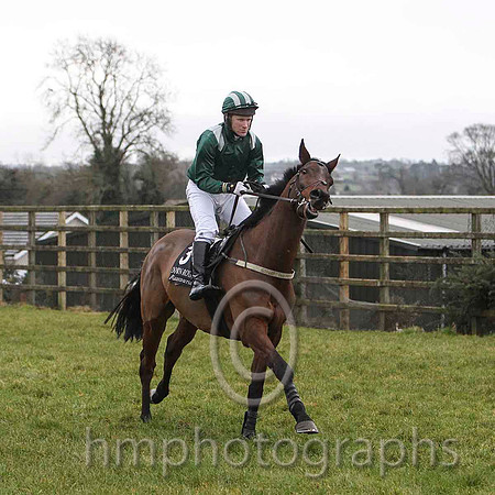 Salsify & Mr C J Sweeney - 2nd (3, dark green) - FT8E9714-e
