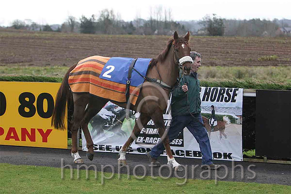 He'llBeRemembered & S E Butler - winner - (2, royal blue., emerald green hoop ) - FT8E9744-e