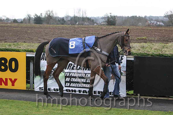Stradbally & B R Dalton - 8th (8, beige, brown inverted triangle ) - FT8E9746-e