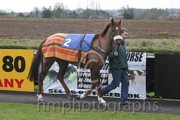 He'llBeRemembered & S E Butler - winner - (2, royal blue., emerald green hoop ) - FT8E9745-e