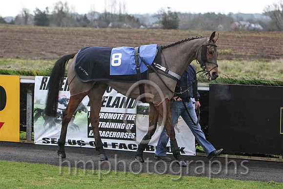 Stradbally & B R Dalton - 8th (8, beige, brown inverted triangle ) - FT8E9747-e