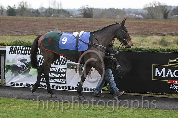 Madam Bovary & M J Bolger - 3rd (9, dark blue, emerald green seams ) - FT8E9749-e