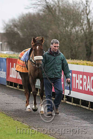 1 He'llBeRemembered & S E Butler - winner - (2, royal blue., emerald green hoop ) - FT8E9754-e