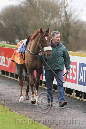 1 He'llBeRemembered & S E Butler - winner - (2, royal blue., emerald green hoop ) - FT8E9755-e