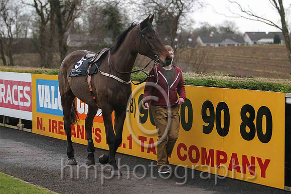 Dont Back Down & Mr J J Codd - 5th (1, maroon, white star ) - FT8E9762-e