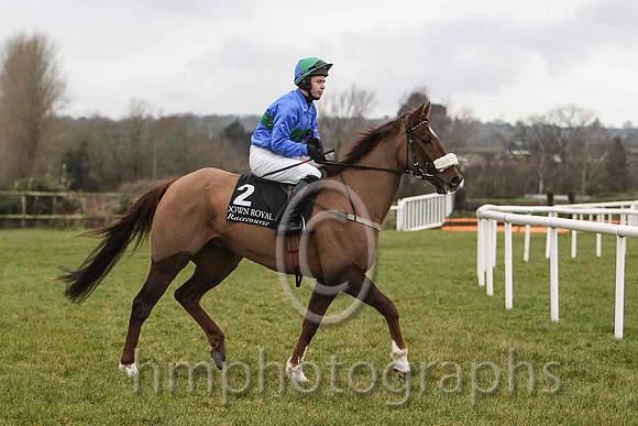 He'llBeRemembered & S E Butler - winner - (2, royal blue., emerald green hoop ) - FT8E9764-e