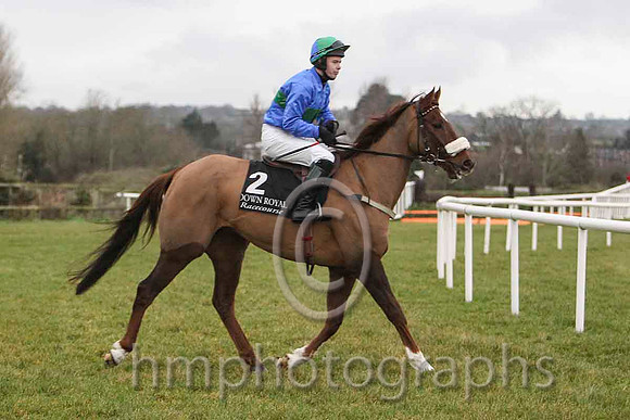 He'llBeRemembered & S E Butler - winner - (2, royal blue., emerald green hoop ) - FT8E9765-e