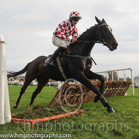 08 scorpion Star and R C Colgan - - 08th (12 ,white and maroon check ) Trainer - A Lynch