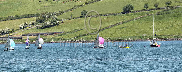 1st, Gold, 14256, Ger Owens & Melanie Morris, Wicklow SC & East Antrim BC - 1, 1, (2), 1, 1, 1 - Total = 7, Nett = 5
