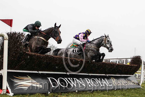 09th Micks Benefit & M Darcy - 9th (6, black, emerald green sash) & 02nd Popaflors & B R Dalton - 2nd (11, purple, yellow spots) - CU2D5370-e