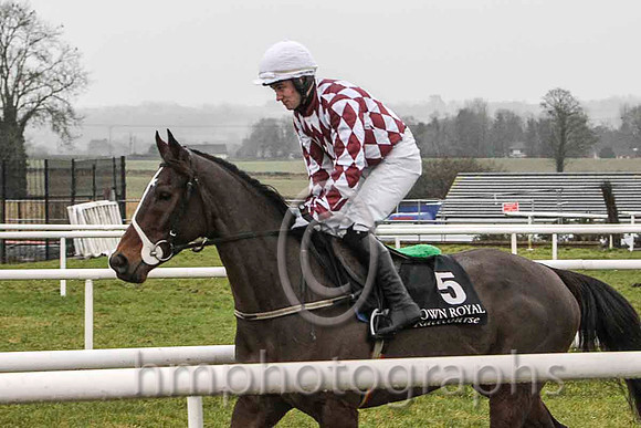 Nivek's Dream & M A Enright - Fell (5, maroon and white diamonds) - FT8E9788-e