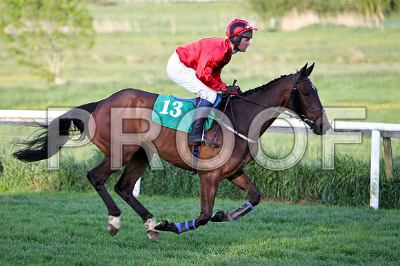 Valentine 'O' Seven , Fell, Jockey - Mr J D Moore - FT8E3139-e