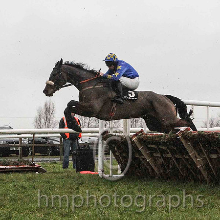 09th Hallstown Lad & B M Cash - 9th (3, royal blue, yellow star ) - CU2D5432-e