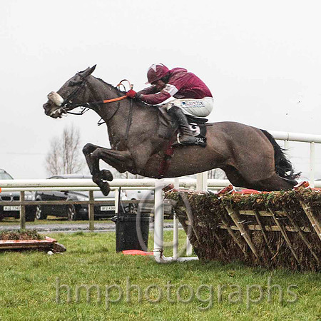 01st Turn Asunder & D J Condon - winner (9, maroon, white star) - CU2D5435-e