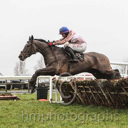 02nd Los Amigos & K M Donoghue - 2nd (6, pink, white hoop) - CU2D5436-e