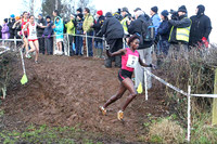 2013/01/12th - Women's Race - Antrim International Cross Country