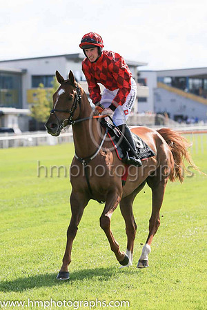 01st Banks Boy and J.W. Kennedy (5 ,red and black diamonds ), Trainer:Gordon Elliott , Owner:Mrs Ann Marie McManus