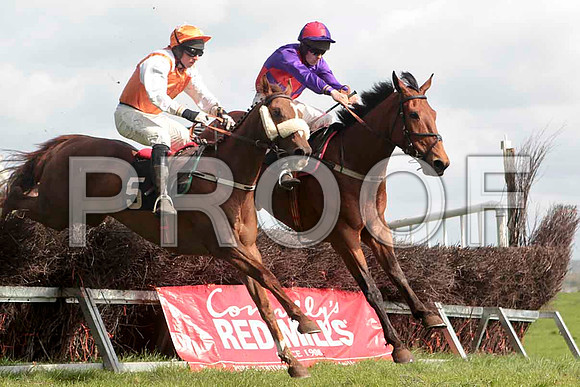 Bringbackthebeat , Winner, Jockey - J J Codd - & Cilliseal , 2nd, Jockey - M J O'Hare - CU2D4618-e