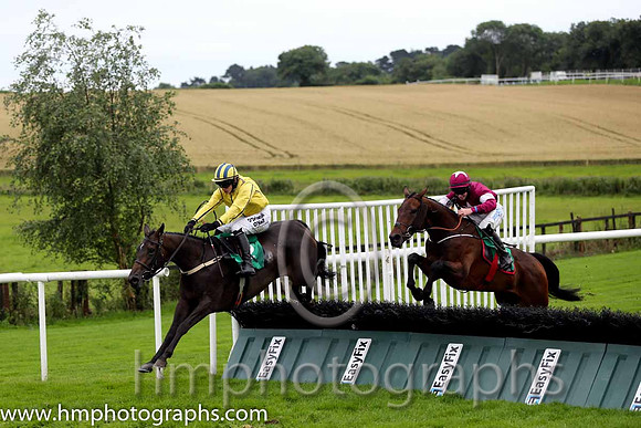 R5 - Westerner Lady  Paul Townend win (2. yellow, royal blue seams)