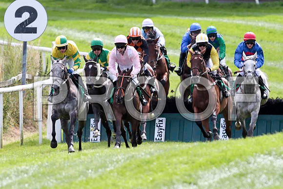 Black Rock Lake - Winner, Jockey P Townend in the lead- CU2D9389-e