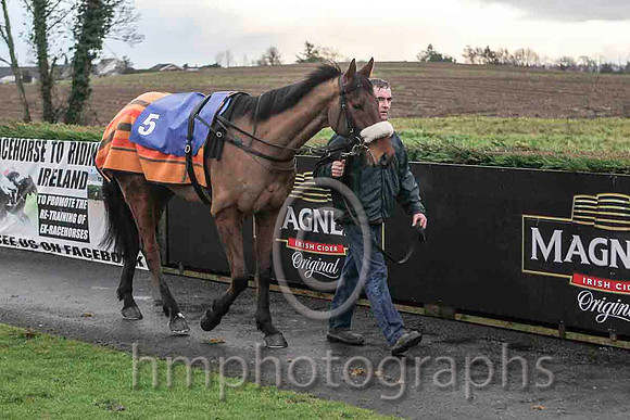02nd  Lots of Memories & Mr M Fahey - 2nd (5, white, emerald green stars) - CU2D5647-e