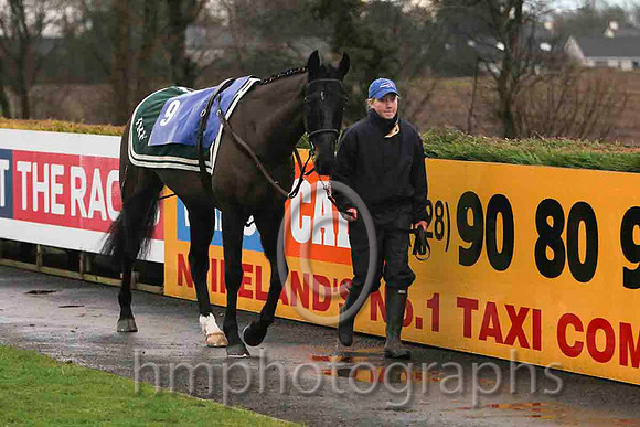 01st - Ceasar Milan & Mr W Thompson - winner (9, white, royal blue panel) - FT8E9844-e