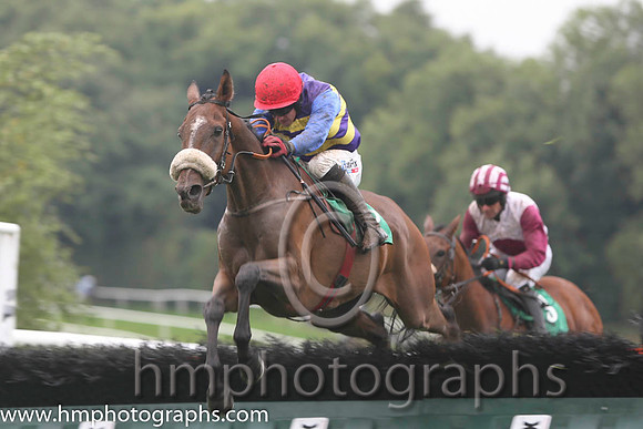 02 Tico &amp; D Condon2nd - (8,yellow and purple hoops)