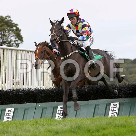 Clouded Thoughts - 2nd, Jockey R M Power - FT8E3842-e