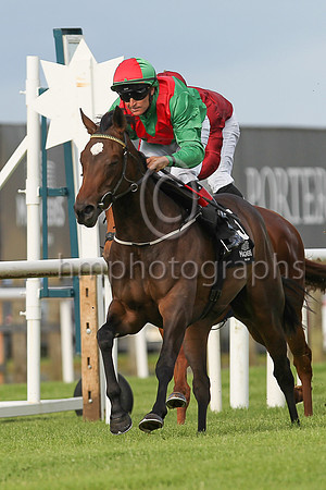 01st Sankari Royale  N G McCullagh (7, emerald green, red chevron) Trainer J P Murtagh, Owner Richard Frayne