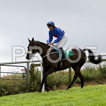 Lea Lady - 6th , Jockey Miss C L Fahey  - FT8E3866-e