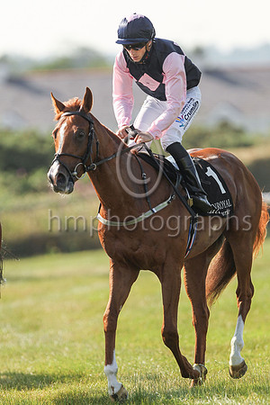 01st Glengarra and Billy Lee (1, dark blue, pink triple diamond)